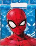  Marvel Pókember Ajándék tasak, zacskó csomag/10db