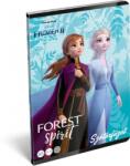 Lizzy Card Szótár füzet - A5, (31-32) Frozen 2