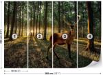  Erdei Szarvas Fotótapéta - Naplemente - XL (368x254cm)