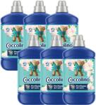 Coccolino Water Lily & Pink Grapefruit Öblítő koncentrátum 384 mosás 6x1600ml (8720181409752)