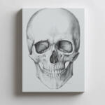  ANATÓMIAI VÁSZFESTÉS FALKOPONYA ELŐRE KERET NÉLKÜL 50x70 CM