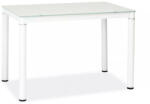 SIGNAL MEBLE Galant Edzett Üveg Étkezőasztal Fehér 100x60 (GALANTB100X60)