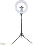  Ringlight Körlámpa 56 cm
