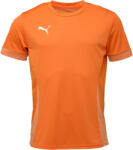 PUMA Teamgoal Matchday Jersey (70574708)