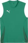 PUMA TEAMGOAL SLEEVELESS JERSEY Verde, Alb L (70591305)