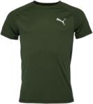 PUMA Evostripe (67592831)