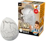 Buki France Ouă de dinozaur maturate (D6G) (D6G)
