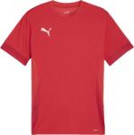 PUMA Teamgoal Matchday Jersey (70574701)
