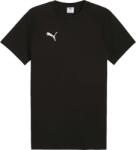 PUMA TEAMEVOSTRIPE TEE Negru, Alb XS (65995303)