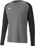 PUMA Teampacer Gk Ls Jersey (70493343)