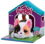 The William Mark Corporation furReal Pisicuța Mea Minis (1100031645)