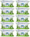 Mike Pachet 10 x 72 Servetele Umede cu Capac Mike Line Aloe Vera