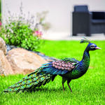 NORTENE Peacky dekoratív páva figura, fém, zöld (2017865)