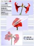 Olympia 80 mikron A6 lamináló fólia ( 100 db / csomag) (9168) (9168)
