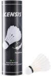Kensis FSC 6