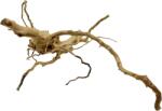 INVITAL Red Moor Wood Premium S 20-30cm (ID Z08153)