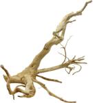 INVITAL Red Moor Wood XL 50-60cm (ID Z07833)