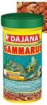 Dajana Gammarus arany 100ml