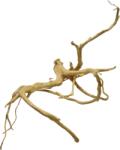 INVITAL Red Moor Wood Premium S 20-30cm (ID Z08141)