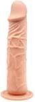 Baile Barbara Calvin - élethű dildó - 20cm (natúr) - shop