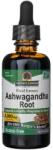 Nature's Answer Ashwagandha, Fluid Extract, Fără alcool 2000 mg - 60 ml