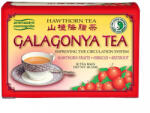 Dr. Chen Patika Galagonya tea 20x2 g (6470000683)