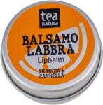 TEA Natura Narancs és Fahéj ajakbalzsam - 15 ml