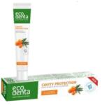 Ecodenta Pasta de dinti naturala cu catina pentru protectia cavitatii orale, 75ml, Ecodenta