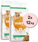 Iams кучешка храна за възрастни големи породи, агнешко 2 x 12 кг