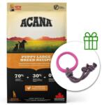 ACANA Рецепта за кученца от големи породи 11, 4 кг + 2x Лакомства безплатно