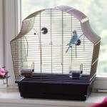 INTER-ZOO Pet Products Клетка за птици Margot 2 Antique 50, 5 x 28 x 54 cm