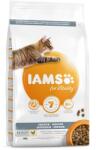Iams Котка Вътрешен 2 кг