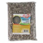 Dolly Mageleség Csíkos Napraforgó 250g - fishingoutlet