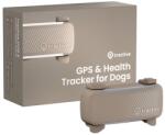 Tractive DOG 6 - GPS локатор за кучета и монитор на здравето, кафяв