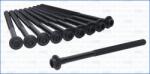 AJUSA Set surub, chiulasa AJUSA 81068100 (81068100)
