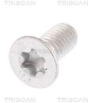 TRISCAN Surub, disc frana TRISCAN 8105 11671 (8105 11671)