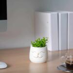 Vog und Arths Műnövény dekoráció - macskafej - 9 x 14 cm - 3 féle Vog und Arths 11849 (11849) - tutiar