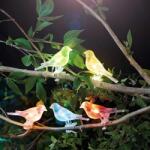 Garden of Eden Szolár fényfüzér - madárka, csipeszes - 80 cm - 5 színes, RGB LED Garden of Eden 11787 (11787)