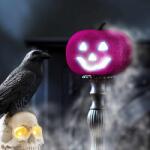 Family Halloween-i RGB LED dekor - habszivacs tök - lila - 11 cm Family 58162D (58162D) - tutiar