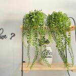 Vog und Arths Műnövény dekoráció - futónövény, porccserje - 16 x 26 cm Vog und Arths 11882 (11882) - tutiar