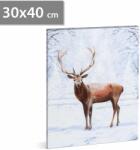 Family LED-es fali hangulatkép - rénszarvas - 2 x AA, 30 x 40 cm Family 58475 (58475) - tutiar