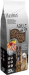  Delikan Maximo Adult 20 kg - webshop