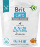 Brit Dog Grain-free Salmon Junior Large Breed 1 kg