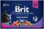  Brit Premium Cat Pouches Fish Plate 4 x 100 g