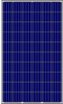Amerisolar 285W polikristályos napelem panel (AM001)