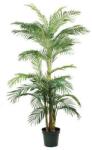 Vepabins Aranygyümölcspálma műnövény, zöld, magasság: 190 cm