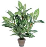 Vepabins Buzogányvirág műnövény, kétszínű, magasság: 70 cm