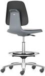 Bimossa Munkahelyi antisztatikus ESD szék Bimos Labsit 9125E kerekekkel, lábtartóval, műbőr, szürke