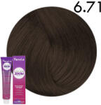 Fanola Color Zoom 10 perces hajfesték 6.71 100 ml