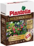Plantella Kristal Speciális műtrágya disznövényekre 1kg